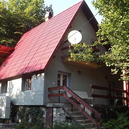 Casa de oaspeti Boga Pietroasa  Esterno foto