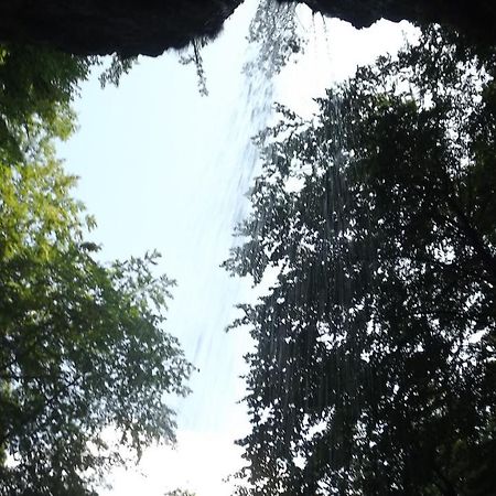 Casa de oaspeti Boga Pietroasa  Esterno foto