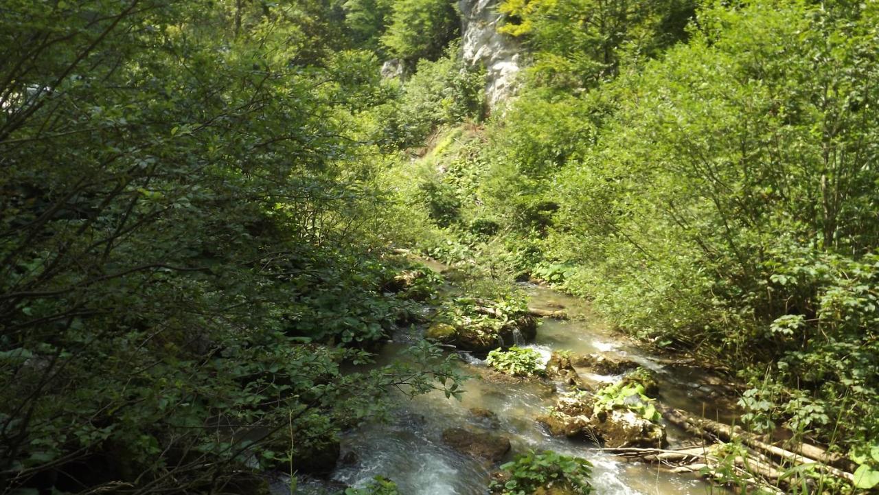 Casa de oaspeti Boga Pietroasa  Esterno foto