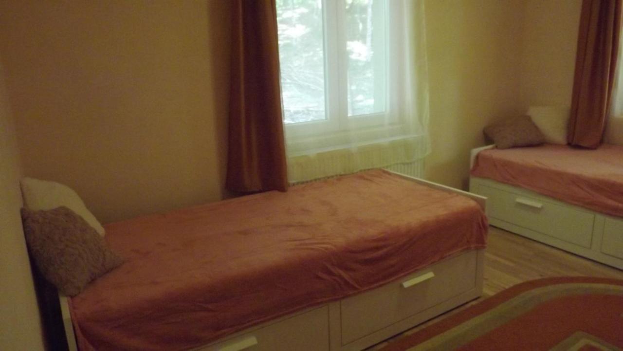 Casa de oaspeti Boga Pietroasa  Esterno foto